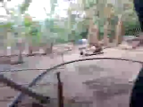 Snapshot of BigBoobs186 chatting on 11.10.25 BigBoobs186 online show from 11.10.25