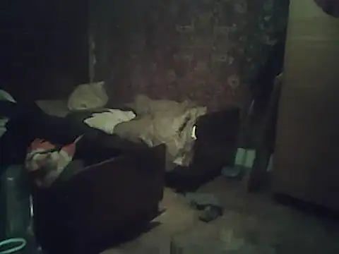 A1B3- online show from 02.02.26