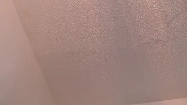 Thomasjons  online show from 03.02.26