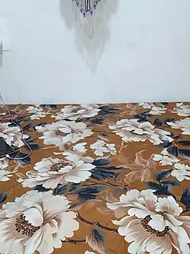 sneha bebo online show from 01.09.26