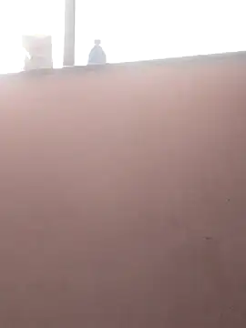 sneha bebo online show from 03.03.26