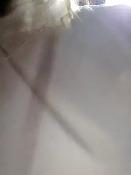 Snapshot of daisy_will chatting on 12.03.25 daisy will online show from 12.03.25