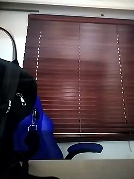 Snapshot of Celeste_Presstigge chatting on 12.14.25 Celeste Presstigge online show from 12.14.25