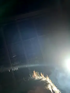 usu0130 online show from 10.20.25