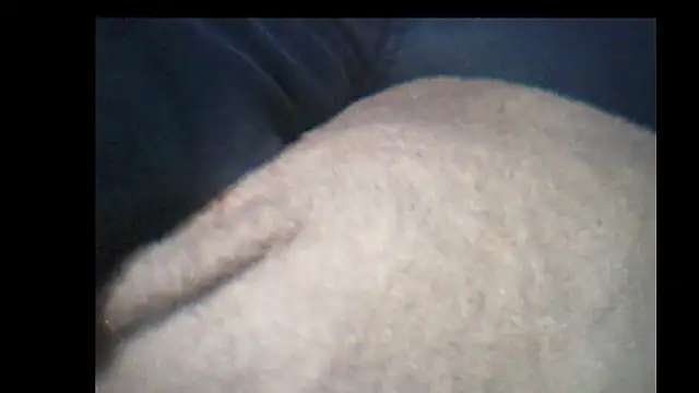 pietje1991 online show from 12.14.25