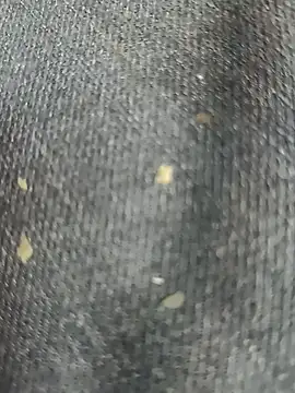 Snapshot of Narckse chatting on 09.15.25 Narckse online show from 09.15.25