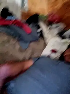 Snapshot of alber907 chatting on 02.04.26 alber907 online show from 02.04.26