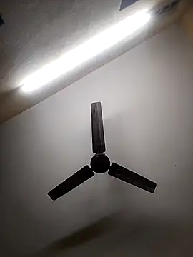 Snapshot of Devi-with-Ram chatting on 10.07.25 Devi-with-Ram online show from 10.07.25