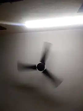 Snapshot of Devi-with-Ram chatting on 10.13.25 Devi-with-Ram online show from 10.13.25