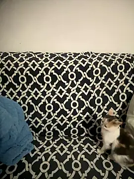 Snapshot of Sweet_lollipop25 chatting on 01.11.26 Sweet lollipop25 online show from 01.11.26