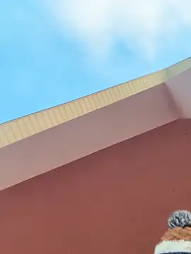 Michel huge online show from 02.11.26