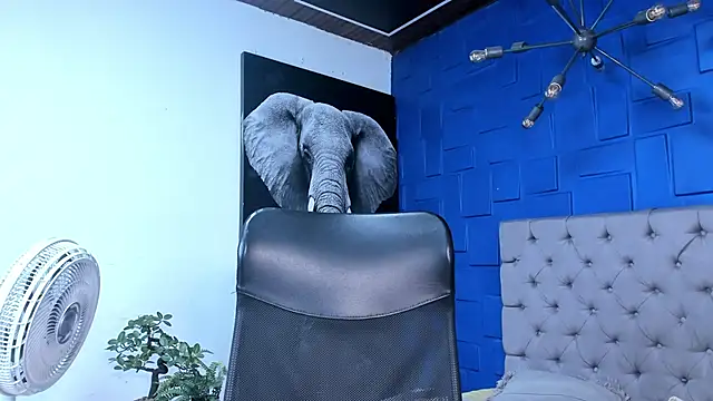 andres-clark92 online show from 10.26.25