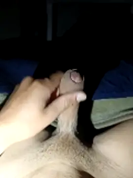 Snapshot of frankleopa0 chatting on 11.05.25 frankleopa0 online show from 11.05.25