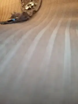 Sandiq99six online show from 11.07.25