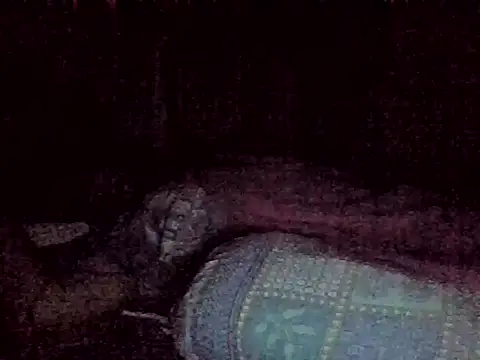 Snapshot of harish_x chatting on 02.18.26 harish x online show from 02.18.26