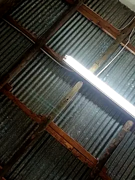 Fizozoo online show from 09.21.25