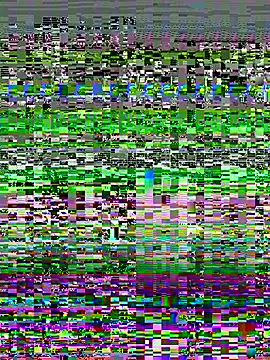 TriumphLove online show from 10.27.25