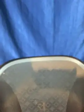 Snapshot of Rashi-48 chatting on 11.17.25 Rashi-48 online show from 11.17.25