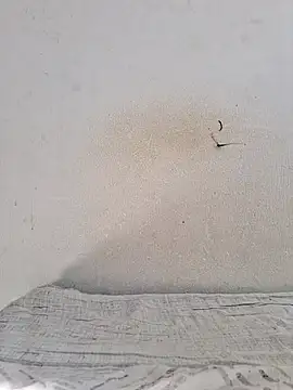 jujuhpimenta online show from 11.12.25