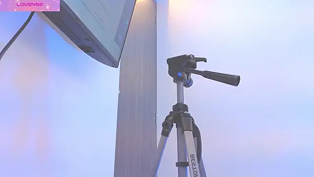 Daisy Price online show from 03.18.26