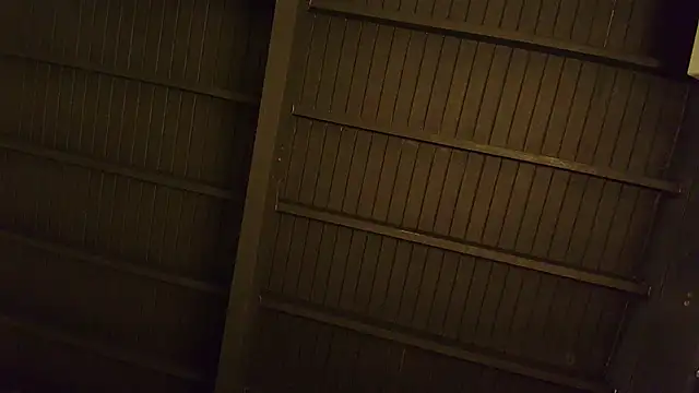 lilyth bloom online show from 12.15.25