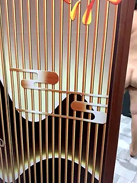 yang-2269 online show from 11.21.25