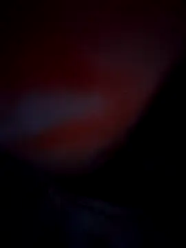 Snapshot of Exotic-bhabhi chatting on 10.10.25 Exotic-bhabhi online show from 10.10.25