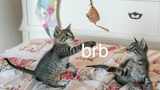 Snapshot of Pink_girl0n chatting on 11.22.25 Pink girl0n online show from 11.22.25