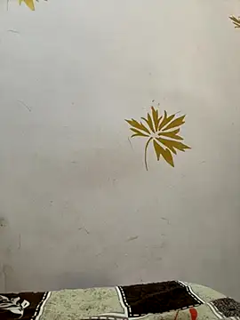 Snapshot of modelnishu chatting on 10.17.25 modelnishu online show from 10.17.25