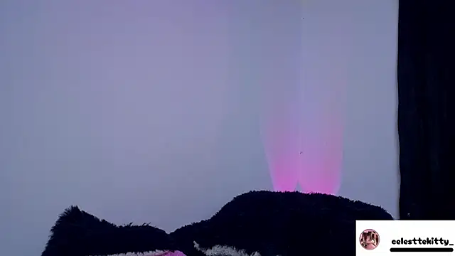 celestte evans 1 online show from 03.06.26