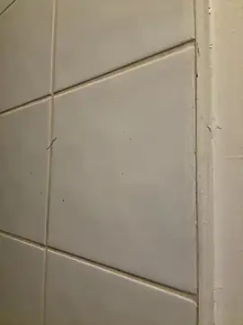 Snapshot of raen001 chatting on 11.06.25 raen001 online show from 11.06.25