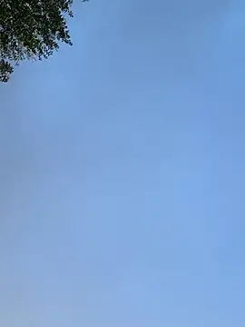 Snapshot of raen001 chatting on 11.24.25 raen001 online show from 11.24.25