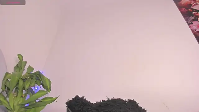 Snapshot of Lucy_shen_ chatting on 11.15.25 Lucy shen online show from 11.15.25