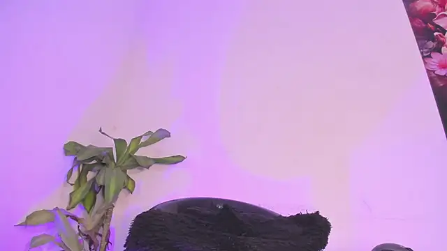 Snapshot of Lucy_shen_ chatting on 01.10.26 Lucy shen online show from 01.10.26