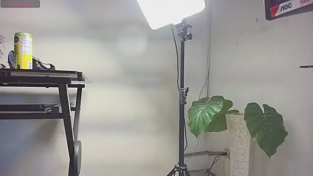 sakuramoss online show from 10.24.25