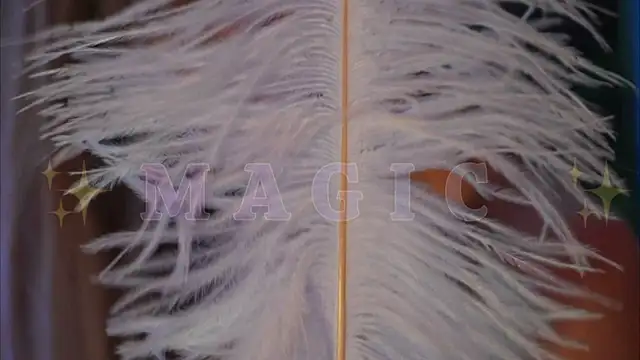 Snapshot of Alvuwkaa chatting on 01.10.26 Alvuwkaa online show from 01.10.26