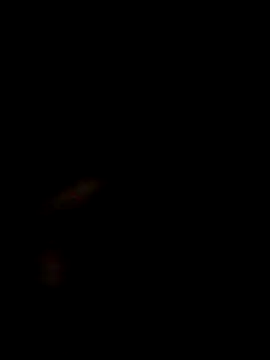 SofieLove 01 online show from 12.01.25