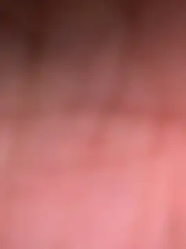 Snapshot of ninjabod chatting on 10.30.25 ninjabod online show from 10.30.25