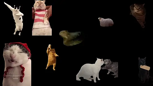 ch0wn m online show from 02.01.26