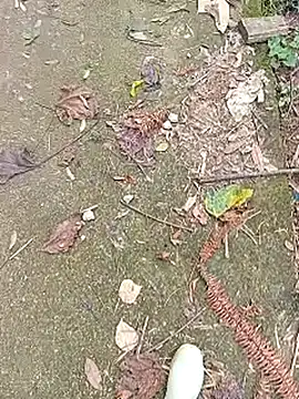 Snapshot of Phuongphuongg chatting on 10.27.25 Phuongphuongg online show from 10.27.25