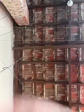 Babebommer online show from 10.24.25