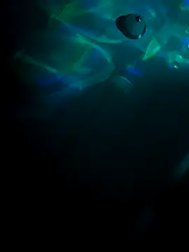 Snapshot of tyrek5051 chatting on 10.31.25 tyrek5051 online show from 10.31.25