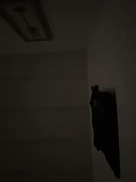 Snapshot of tyrek5051 chatting on 11.12.25 tyrek5051 online show from 11.12.25