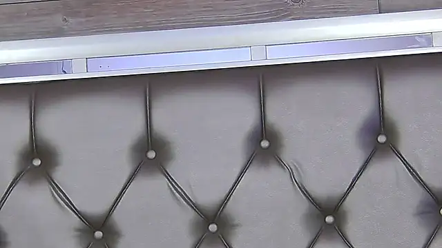 Snapshot of LunaHart chatting on 03.28.26 LunaHart online show from 03.28.26