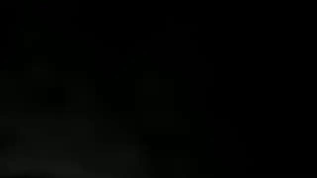 Snapshot of WILD_FIREE_ chatting on 12.02.25 WILD FIREE online show from 12.02.25