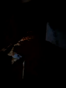 Snapshot of Real_Sucker chatting on 03.15.26 Real Sucker online show from 03.15.26