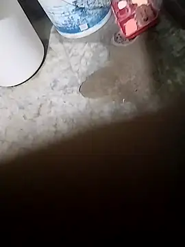 Snapshot of sumit_19 chatting on 11.02.25 sumit 19 online show from 11.02.25