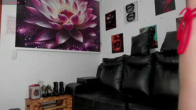 lycoris 19 online show from 01.11.26