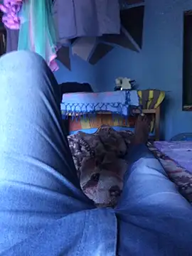 m11a2f3a4z5 online show from 03.29.26