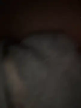 sunset24 online show from 03.29.26